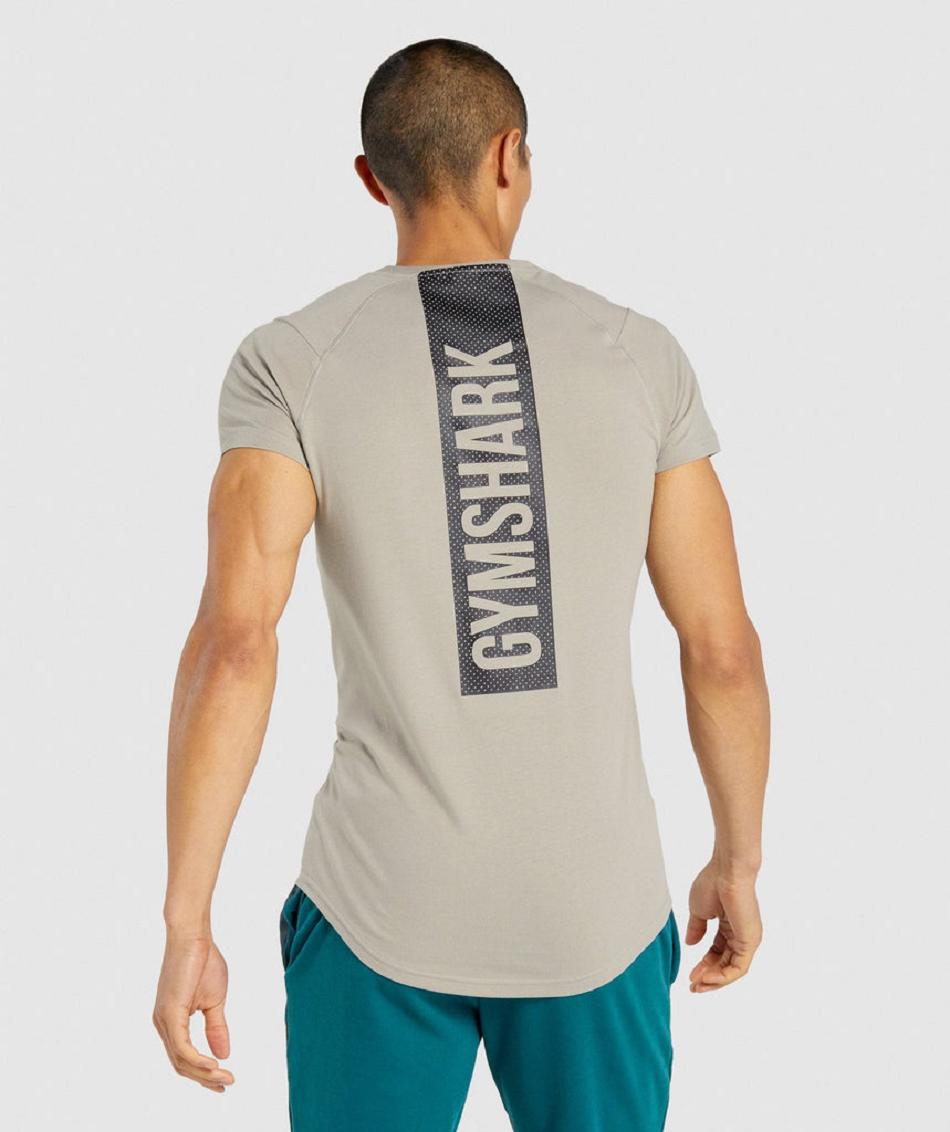 T Shirts Gymshark Bold Hombre Gris | CO 3348MQZ